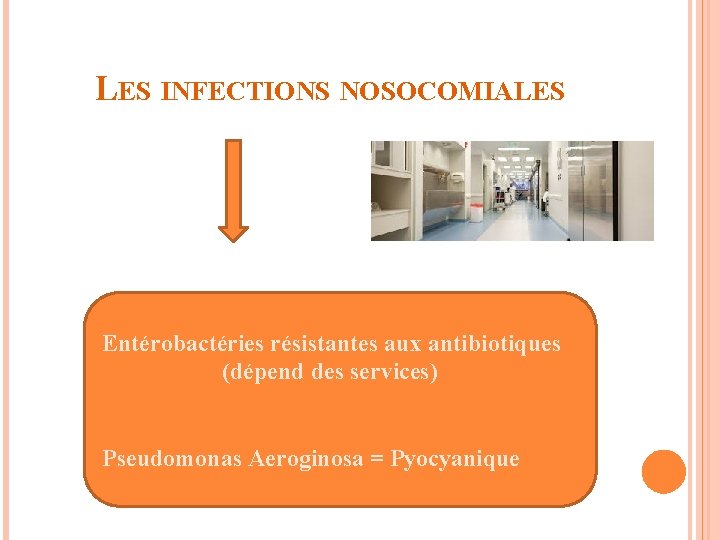 LES INFECTIONS NOSOCOMIALES Entérobactéries résistantes aux antibiotiques (dépend des services) Pseudomonas Aeroginosa = Pyocyanique