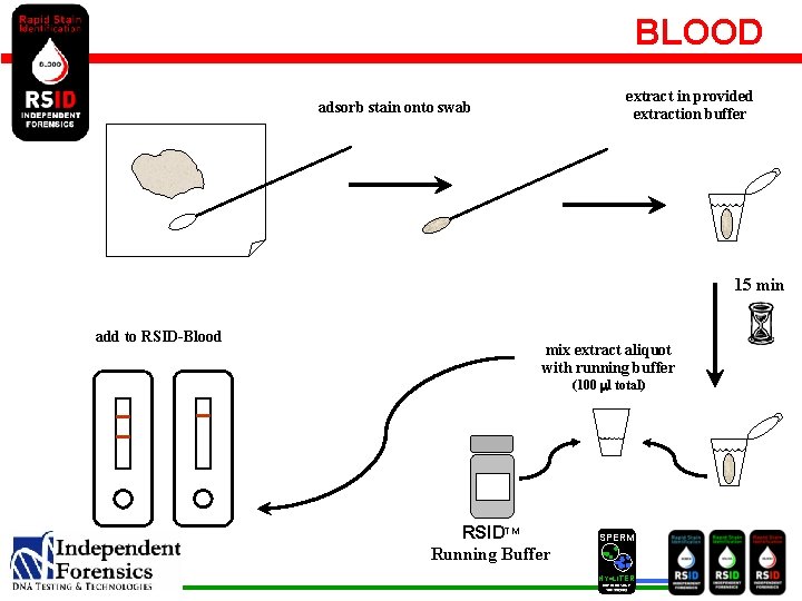 BLOOD extract in provided extraction buffer adsorb stain onto swab 15 min add to