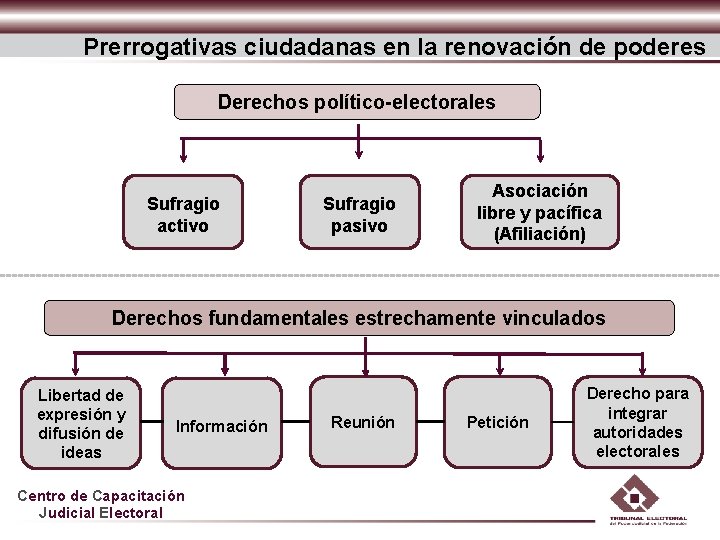Prerrogativas ciudadanas en la renovación de poderes Derechos político-electorales Sufragio activo Sufragio pasivo Asociación