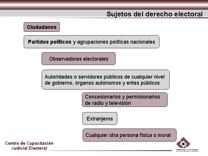 Sujetos del derecho electoral Ciudadanos Partidos políticos y agrupaciones políticas nacionales Observadores electorales Autoridades