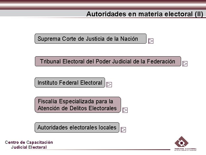 Autoridades en materia electoral (II) Suprema Corte de Justicia de la Nación Tribunal Electoral