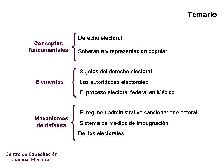 Temario Conceptos fundamentales Derecho electoral Soberanía y representación popular Sujetos del derecho electoral Elementos