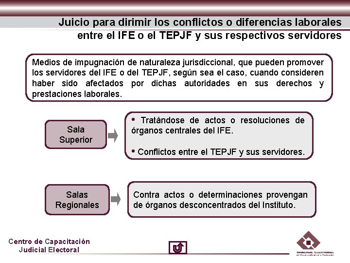 Juicio para dirimir los conflictos o diferencias laborales entre el IFE o el TEPJF