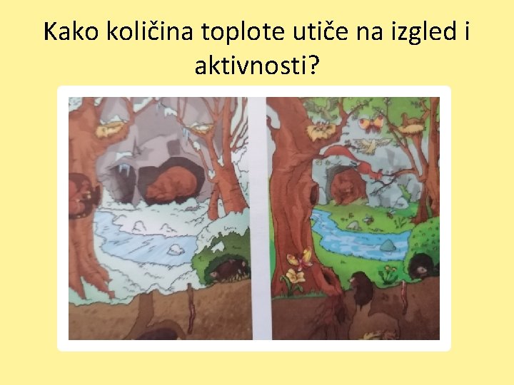 Kako količina toplote utiče na izgled i aktivnosti? 