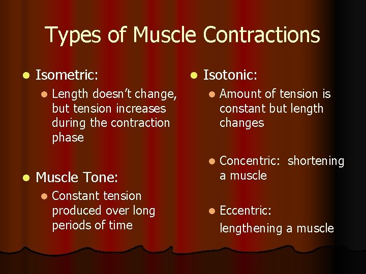 Types of Muscle Contractions l Isometric: l l Length doesn’t change, but tension increases