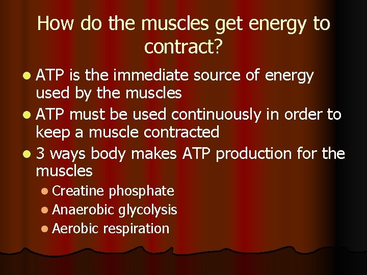 How do the muscles get energy to contract? l ATP is the immediate source