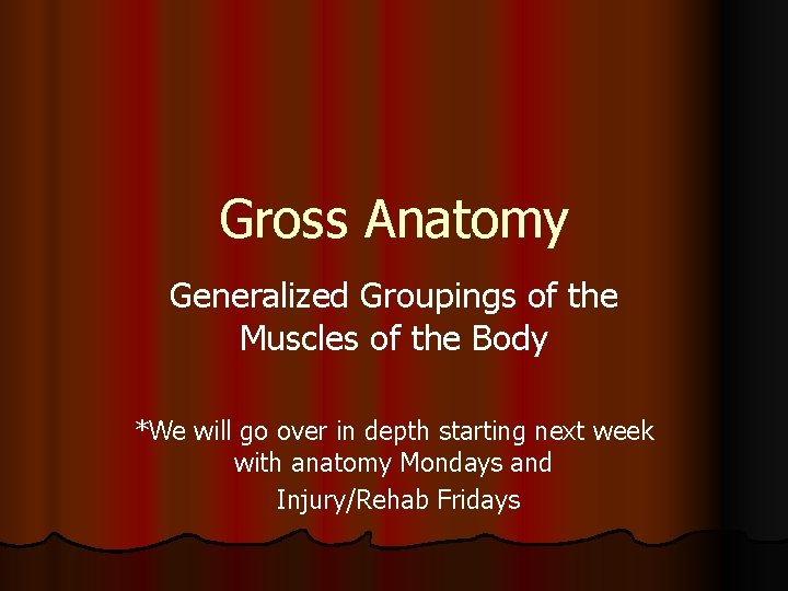 Gross Anatomy Generalized Groupings of the Muscles of the Body *We will go over