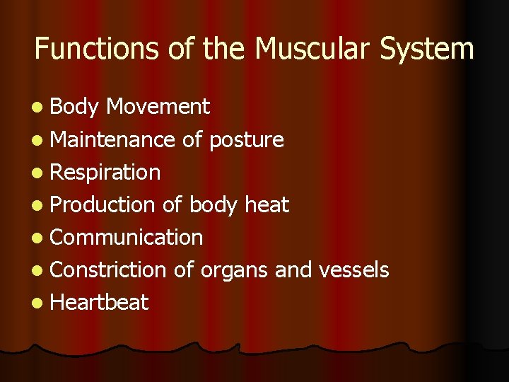 Functions of the Muscular System l Body Movement l Maintenance of posture l Respiration