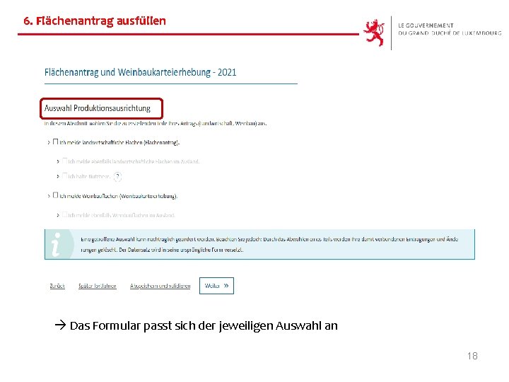 6. Flächenantrag ausfüllen Das Formular passt sich der jeweiligen Auswahl an 18 