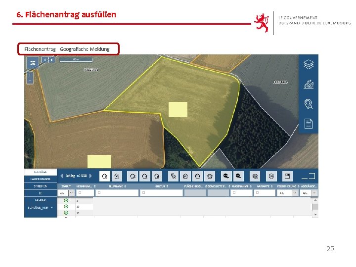 6. Flächenantrag ausfüllen 25 