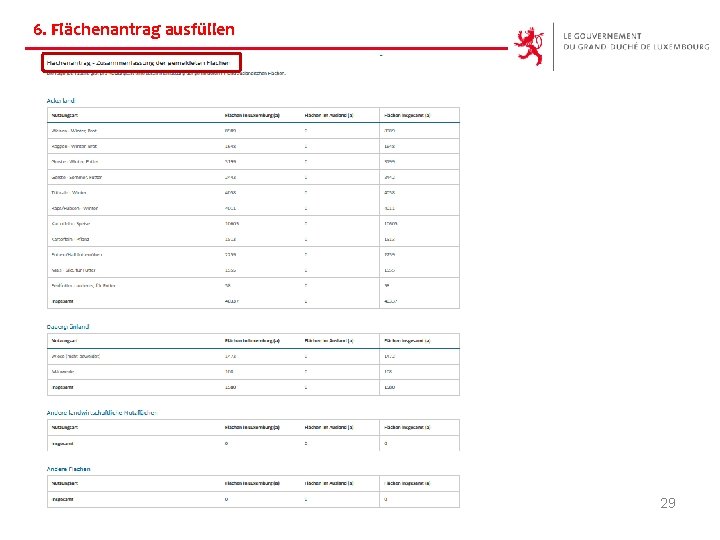 6. Flächenantrag ausfüllen 29 