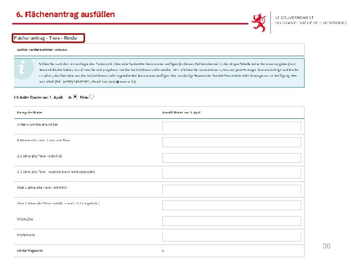 6. Flächenantrag ausfüllen 30 