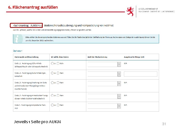 6. Flächenantrag ausfüllen Jeweils 1 Seite pro AUKM 31 