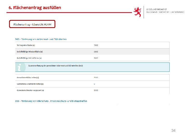 6. Flächenantrag ausfüllen 34 