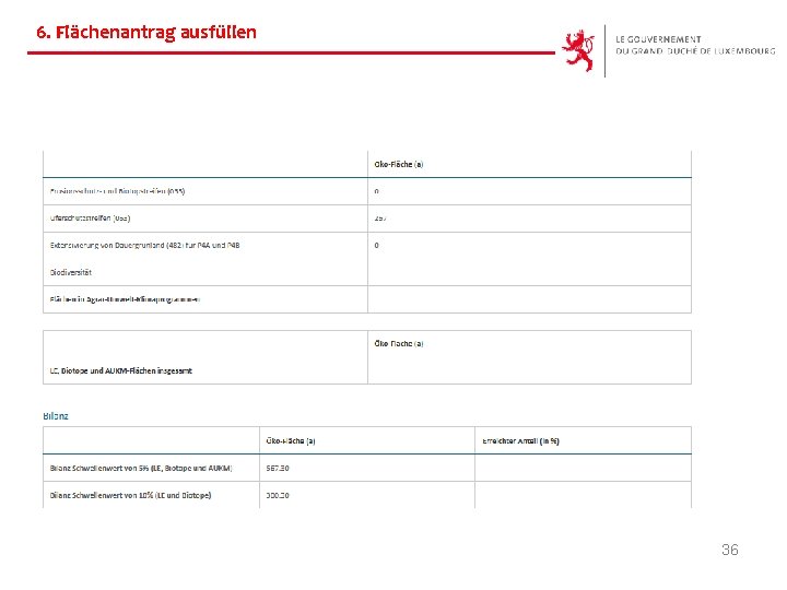 6. Flächenantrag ausfüllen 36 