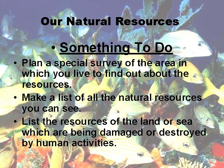 Our Natural Resources • Something To Do • Plan a special survey of the