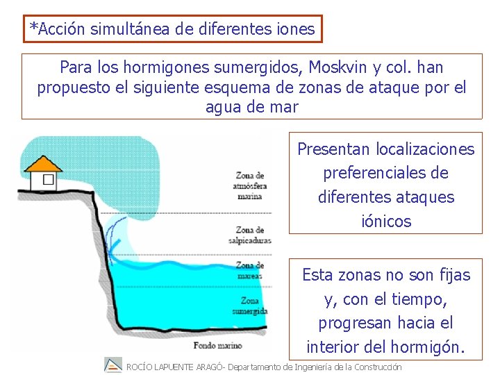 *Acción simultánea de diferentes iones Para los hormigones sumergidos, Moskvin y col. han propuesto