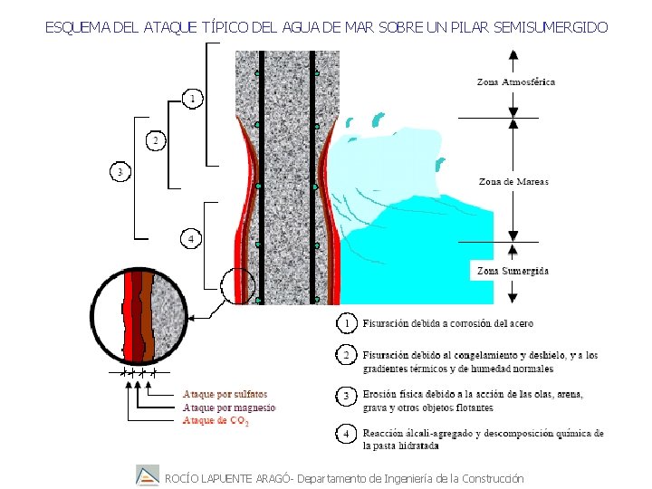 ESQUEMA DEL ATAQUE TÍPICO DEL AGUA DE MAR SOBRE UN PILAR SEMISUMERGIDO ROCÍO LAPUENTE