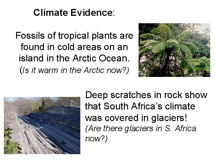 Climate Evidence: Fossils of tropical plants are found in cold areas on an island