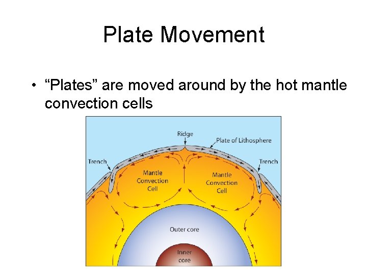 Plate Movement • “Plates” are moved around by the hot mantle convection cells 