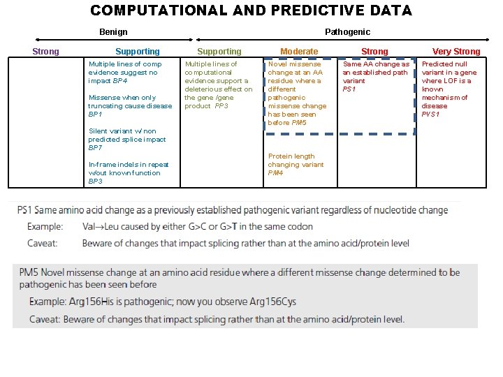 COMPUTATIONAL AND PREDICTIVE DATA Benign Strong Supporting Multiple lines of comp evidence suggest no