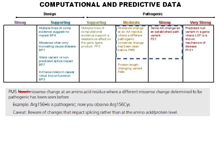 COMPUTATIONAL AND PREDICTIVE DATA Benign Strong Supporting Multiple lines of comp evidence suggest no