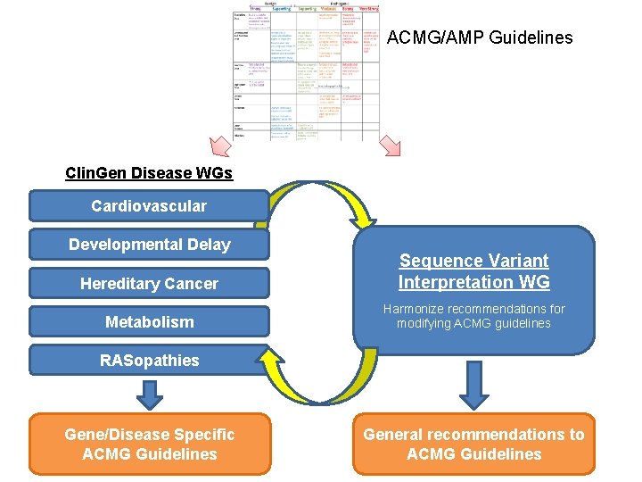 ACMG/AMP Guidelines Clin. Gen Disease WGs Cardiovascular Developmental Delay Hereditary Cancer Sequence Variant Interpretation