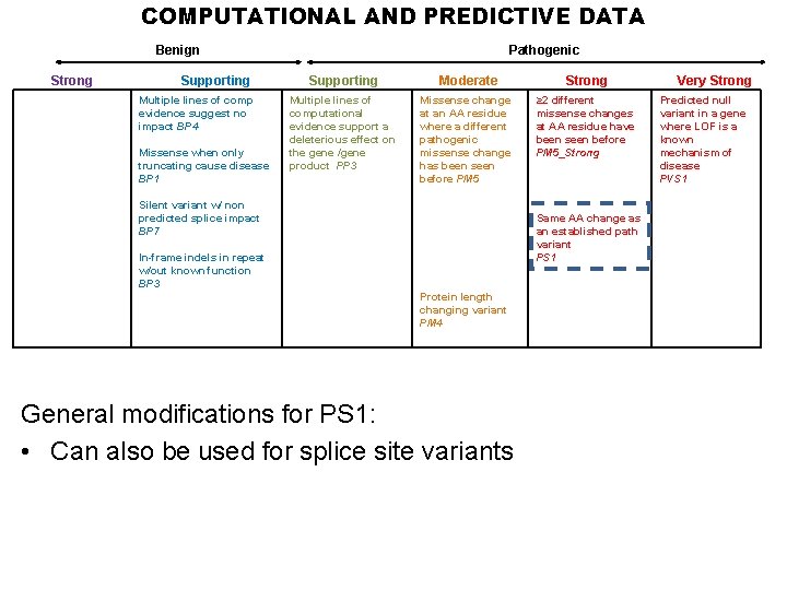 COMPUTATIONAL AND PREDICTIVE DATA Benign Strong Supporting Multiple lines of comp evidence suggest no