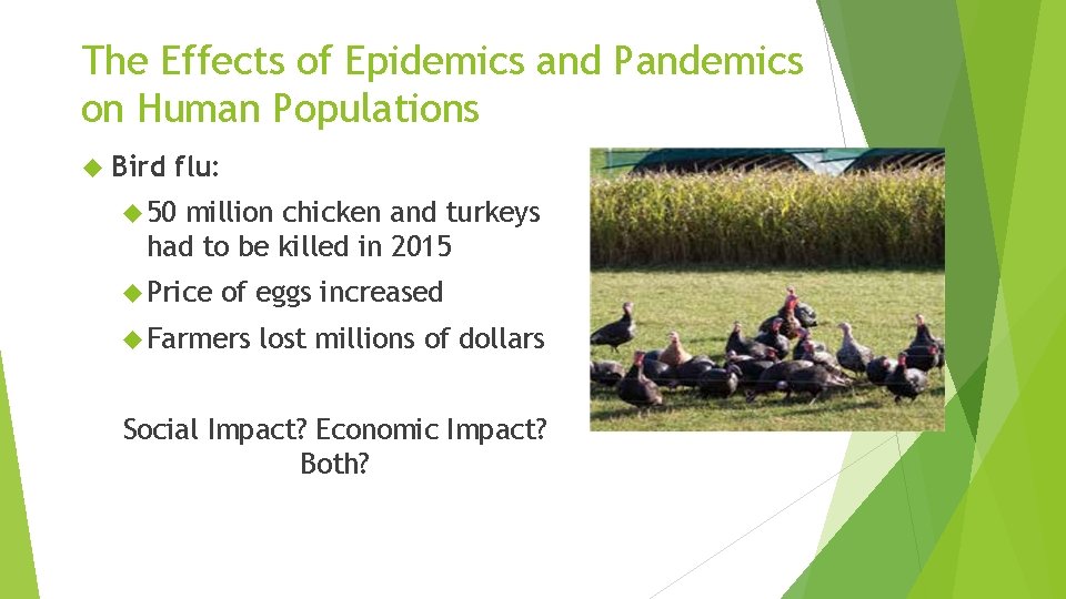 The Effects of Epidemics and Pandemics on Human Populations Bird flu: 50 million chicken