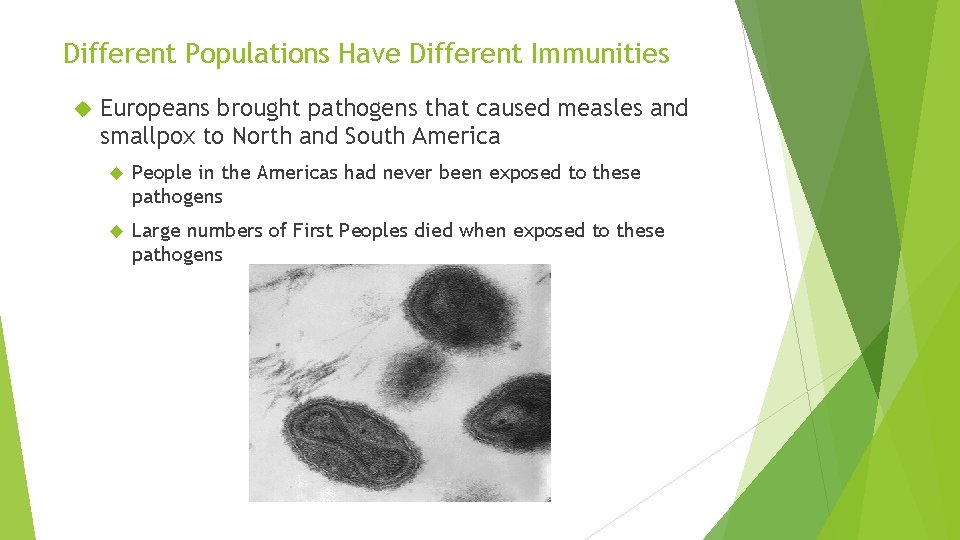 Different Populations Have Different Immunities Europeans brought pathogens that caused measles and smallpox to