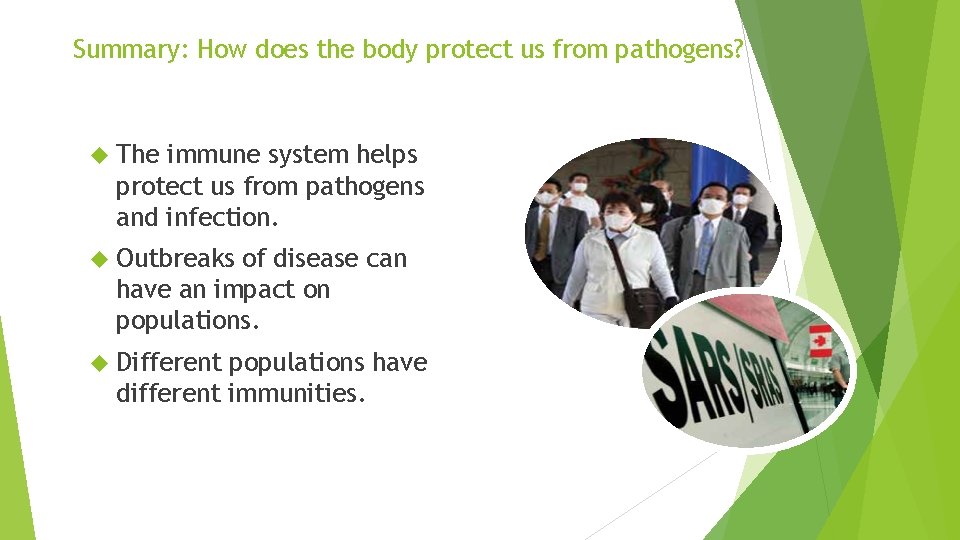 Summary: How does the body protect us from pathogens? The immune system helps protect