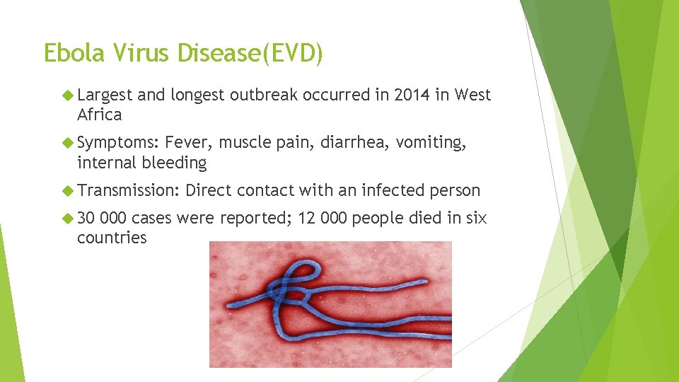 Ebola Virus Disease(EVD) Largest and longest outbreak occurred in 2014 in West Africa Symptoms:
