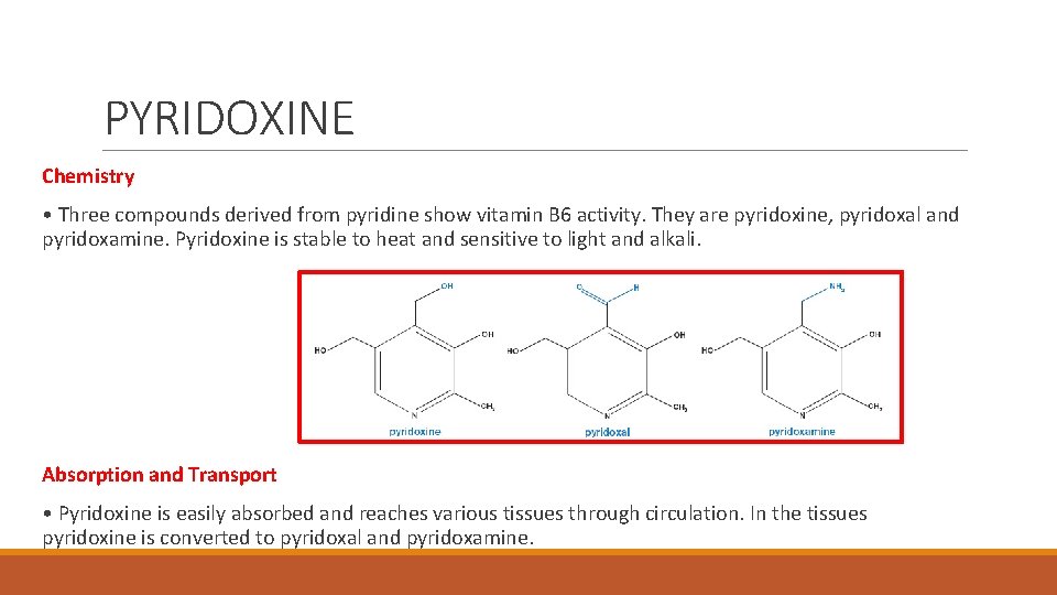 PYRIDOXINE Chemistry • Three compounds derived from pyridine show vitamin B 6 activity. They