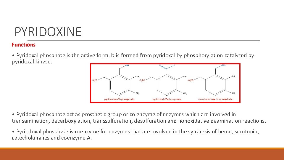 PYRIDOXINE Functions • Pyridoxal phosphate is the active form. It is formed from pyridoxal