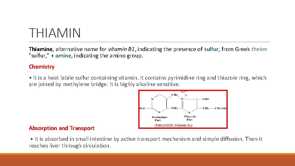 THIAMIN Thiamine, alternative name for vitamin B 1, indicating the presence of sulfur, from