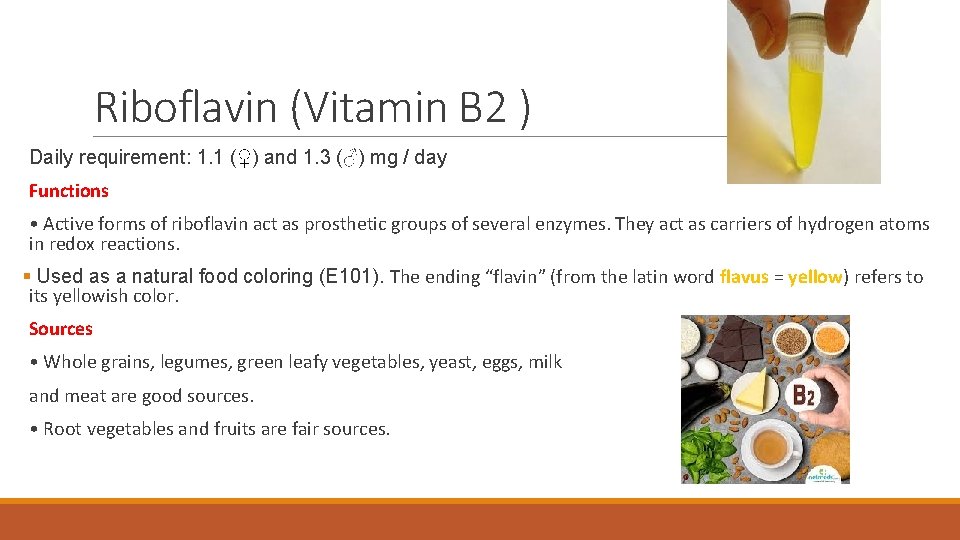 Riboflavin (Vitamin B 2 ) Daily requirement: 1. 1 (♀) and 1. 3 (♂)