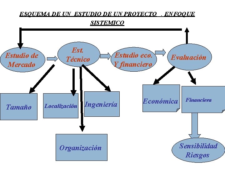 ESQUEMA DE UN ESTUDIO DE UN PROYECTO SISTEMICO Estudio de Mercado Tamaño Est. Técnico