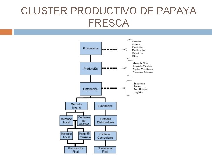 CLUSTER PRODUCTIVO DE PAPAYA FRESCA 