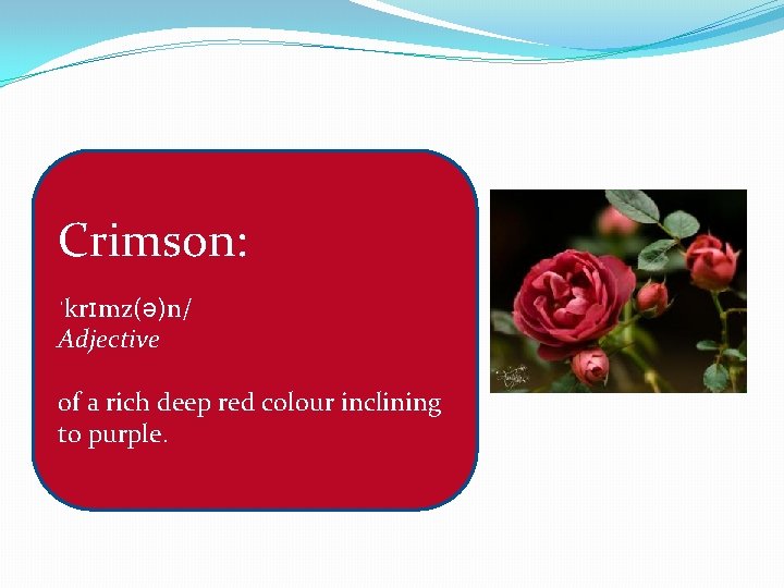 Crimson: ˈkrɪmz(ə)n/ Adjective of a rich deep red colour inclining to purple. 