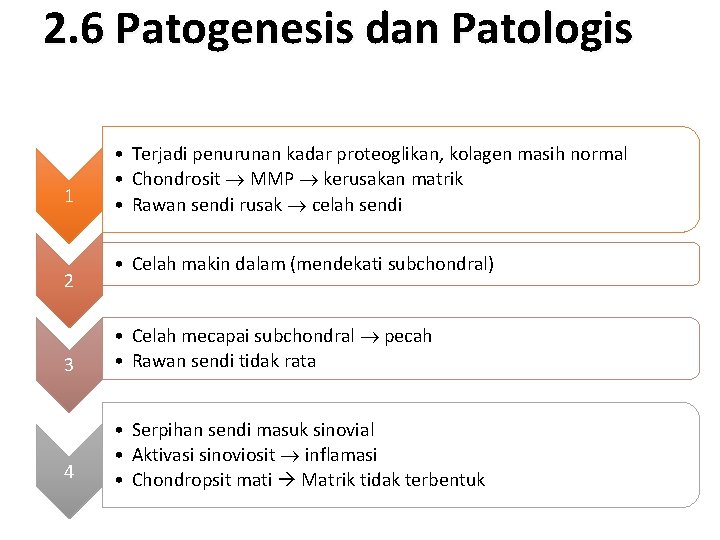 2. 6 Patogenesis dan Patologis 1 2 • Terjadi penurunan kadar proteoglikan, kolagen masih