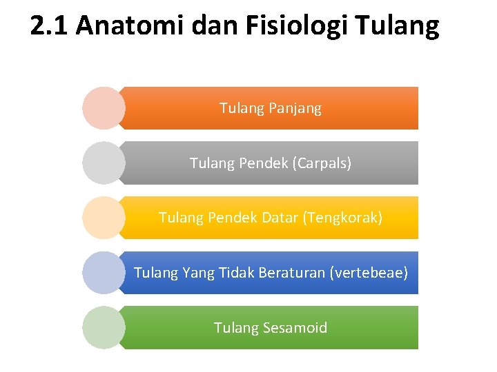 2. 1 Anatomi dan Fisiologi Tulang Panjang Tulang Pendek (Carpals) Tulang Pendek Datar (Tengkorak)