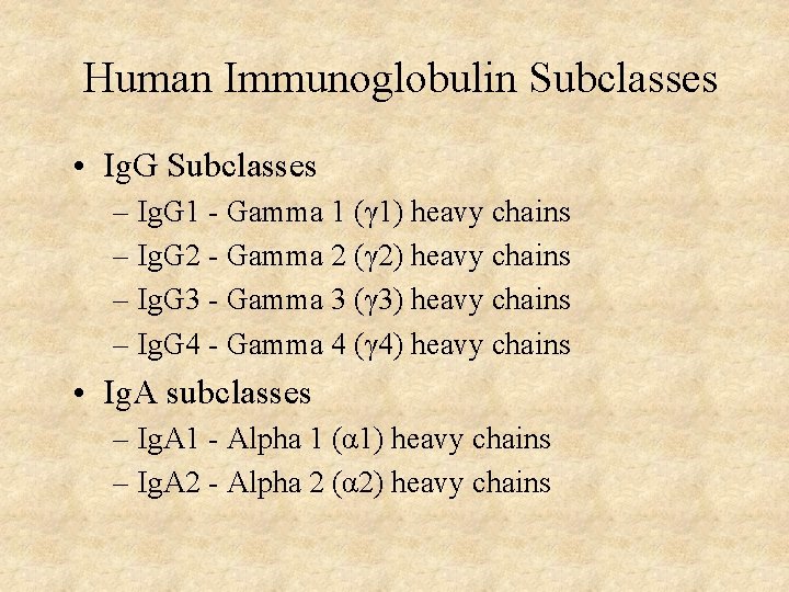 Human Immunoglobulin Subclasses • Ig. G Subclasses – Ig. G 1 - Gamma 1