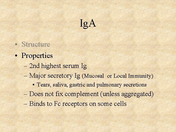 Ig. A • Structure • Properties – 2 nd highest serum Ig – Major