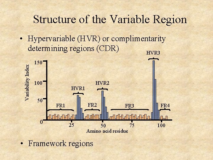 Structure of the Variable Region Variability Index • Hypervariable (HVR) or complimentarity determining regions