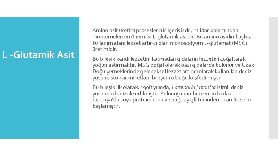 L -Glutamik Asit Amino asit üretim proseslerinin içerisinde, miktar bakımından muhtemelen en önemlisi L-glutamik