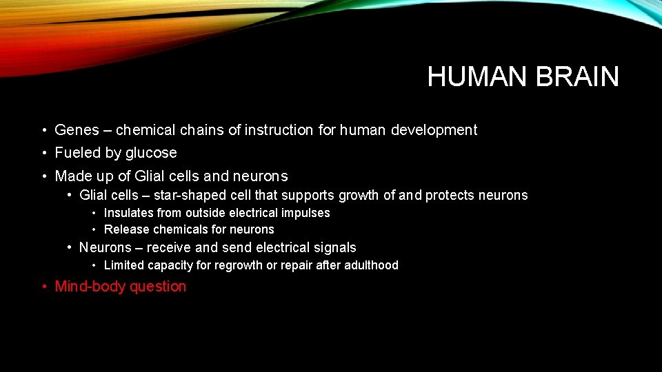 HUMAN BRAIN • Genes – chemical chains of instruction for human development • Fueled