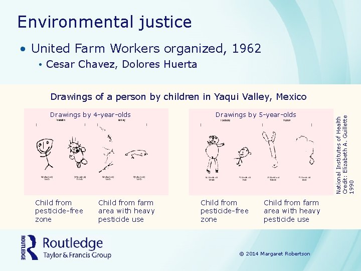 Environmental justice • United Farm Workers organized, 1962 • Cesar Chavez, Dolores Huerta Drawings