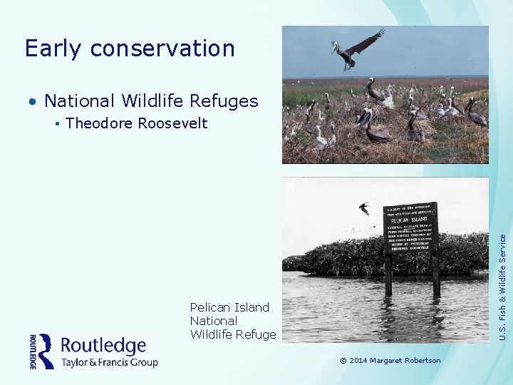 Early conservation • National Wildlife Refuges U. S. Fish & Wildlife Service • Theodore