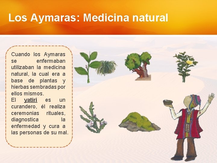 Los Aymaras: Medicina natural Cuando los Aymaras se enfermaban utilizaban la medicina natural, la