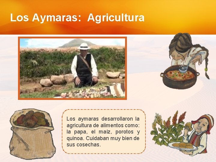 Los Aymaras: Agricultura Los aymaras desarrollaron la agricultura de alimentos como: la papa, el